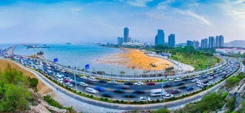 在連云港,遇到文明看見你 愛干凈的遛狗人