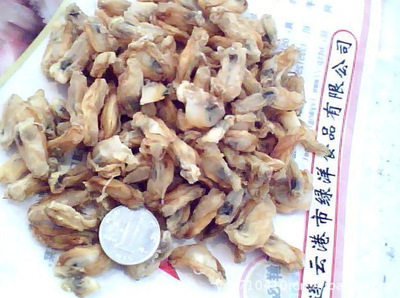 【新品促銷淡干海產(chǎn)海蠣干--優(yōu)質(zhì)無沙250克14元有QS認證,質(zhì)量保證】價格,廠家,圖片,干制水產(chǎn)品,連云港市綠洋食品-