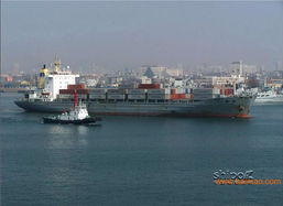 連云港進口報關行服務全解析